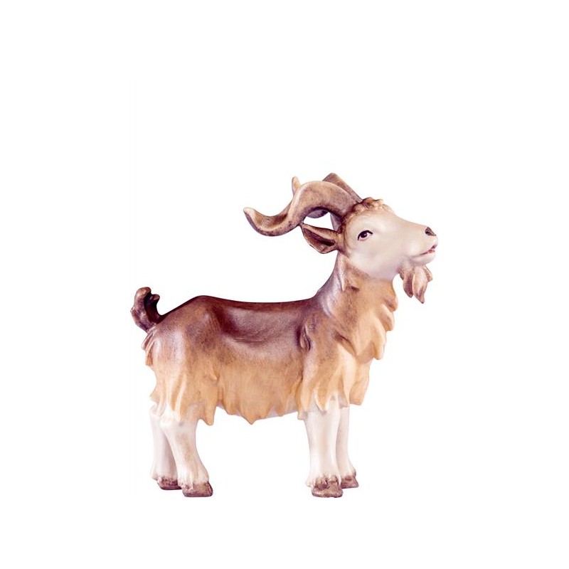 Billy goat Artis