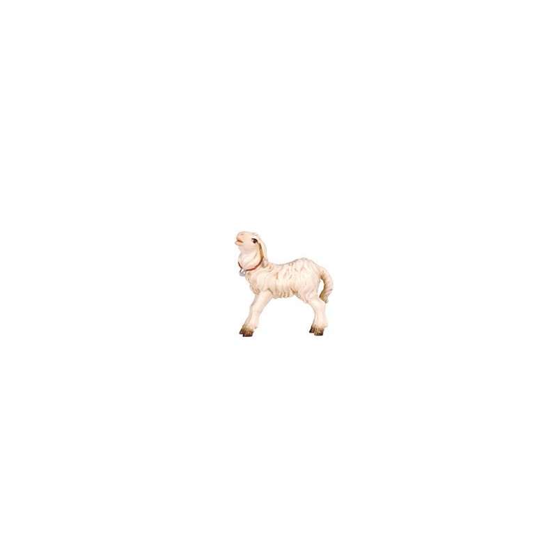 HE Lamb standing