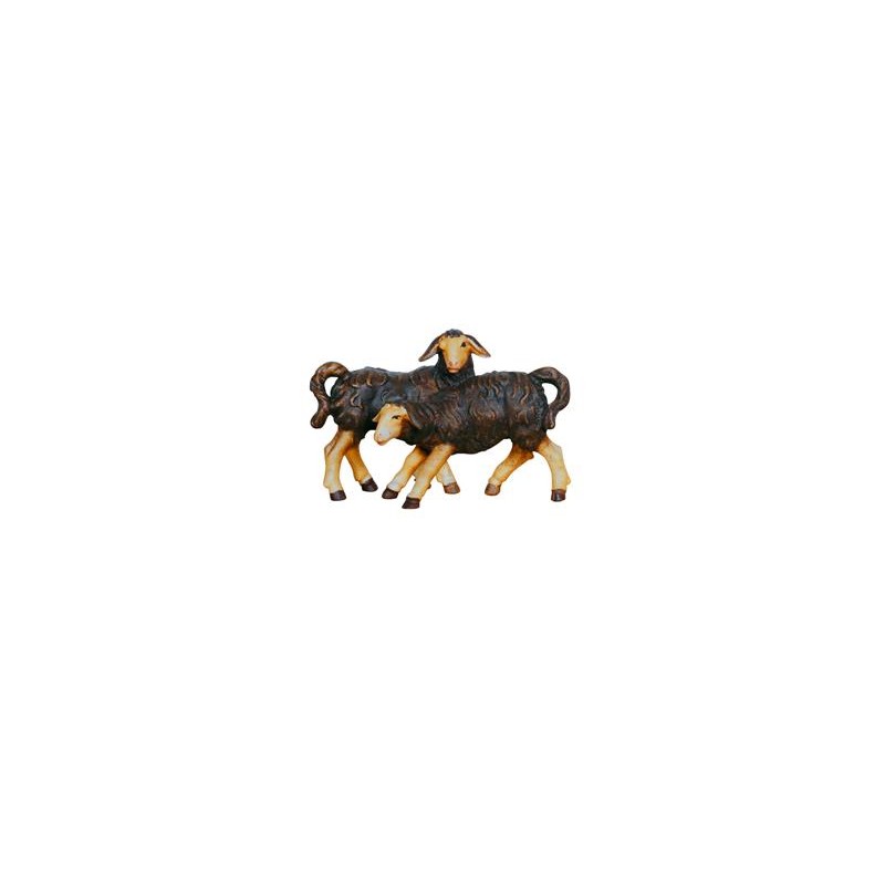 HE Group of lambs black