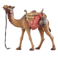 IN Camel