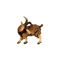 IN Ziegenbock kratzend