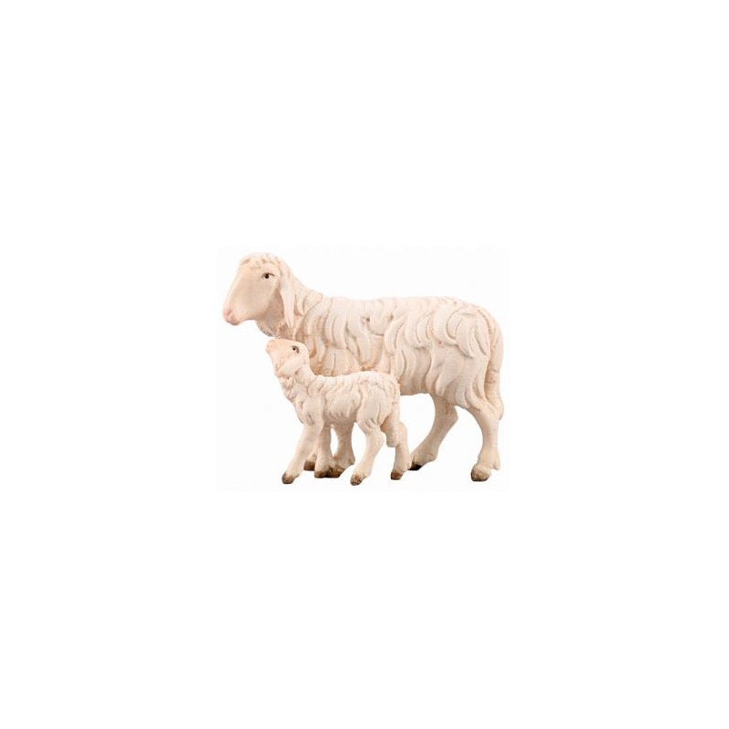 IN Sheep running with lamb