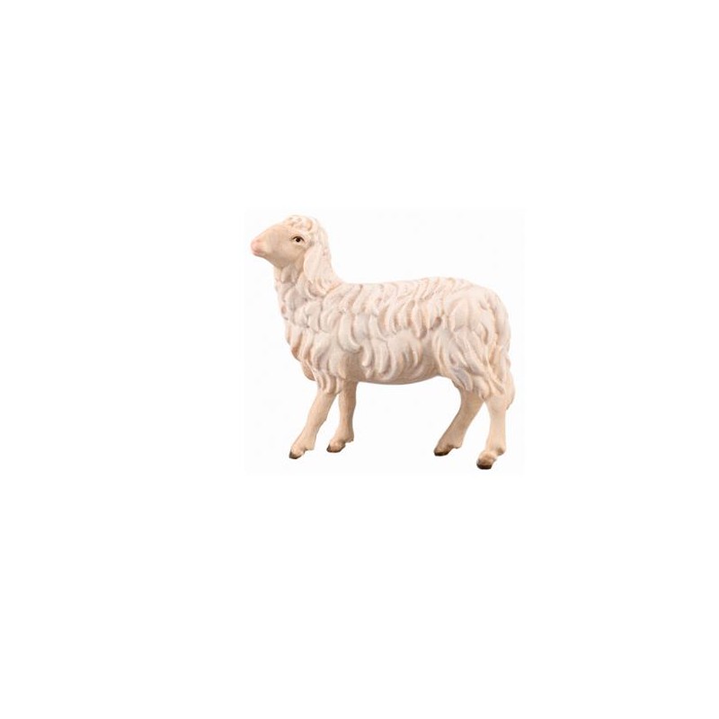 IN Sheep looking left