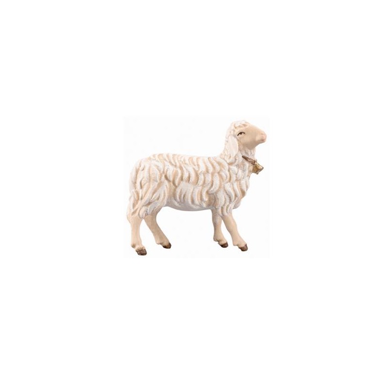 IN Sheep looking right