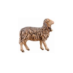 IN Schaf rechtsschauend braun