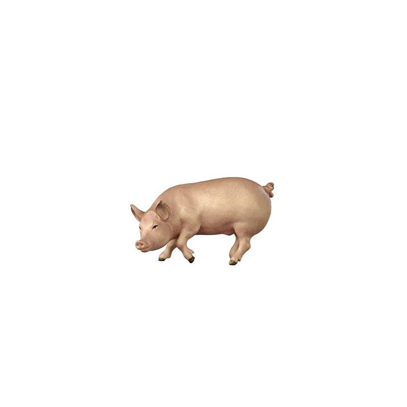 KO Schwein