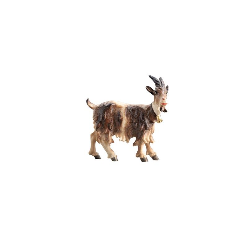 KO Goat with bell looking...