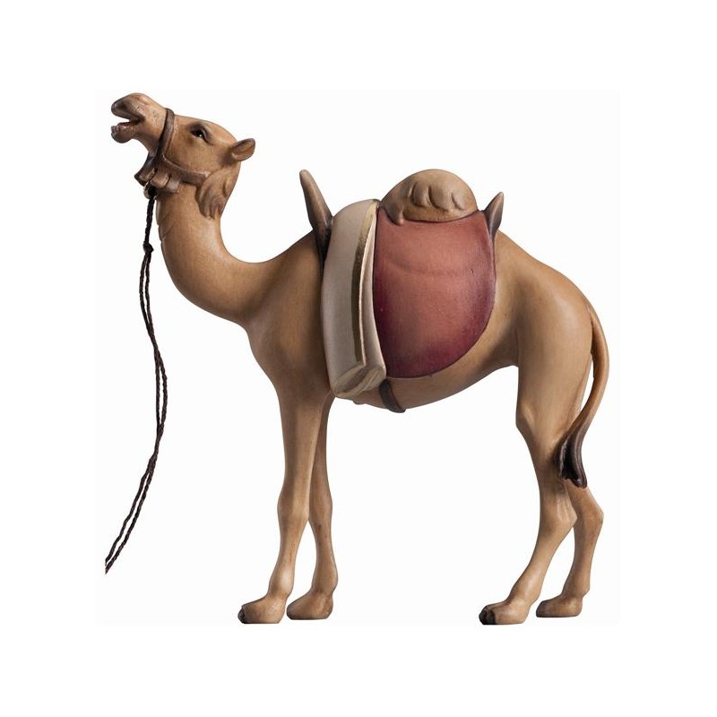 LI Camel