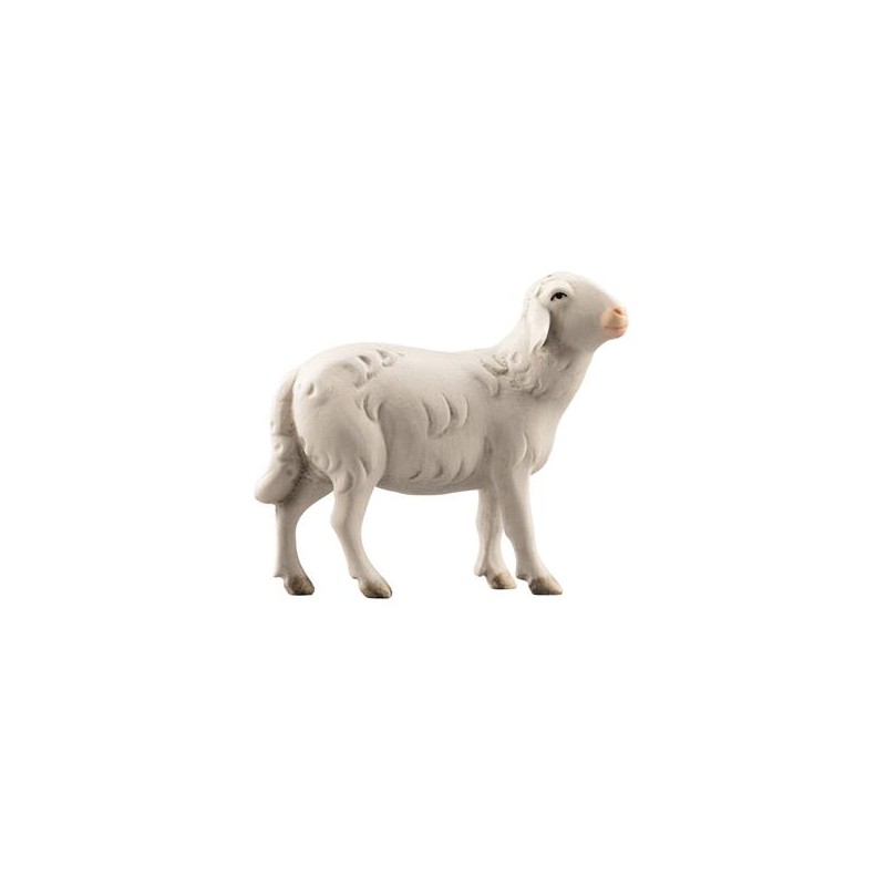 LI Sheep looking right