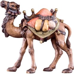 Camel R.K.