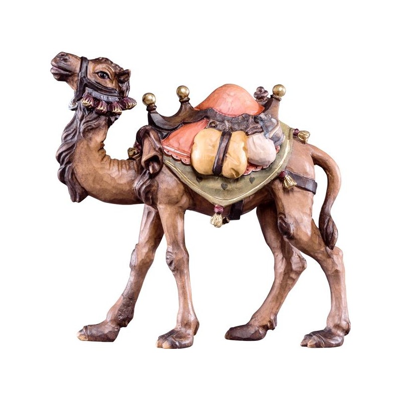 Camel R.K.