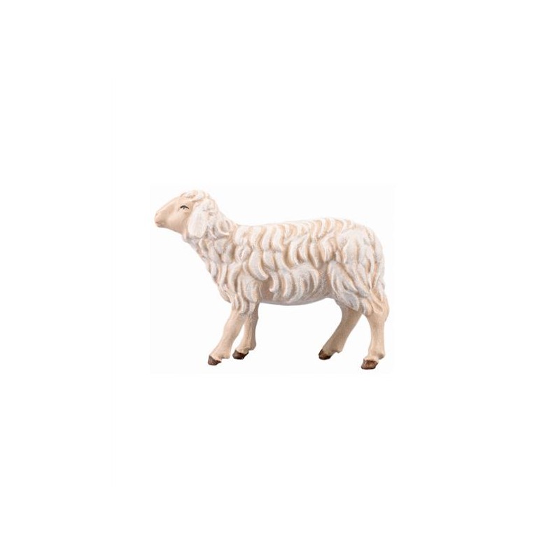 SI Sheep standing