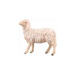 SI Sheep looking left