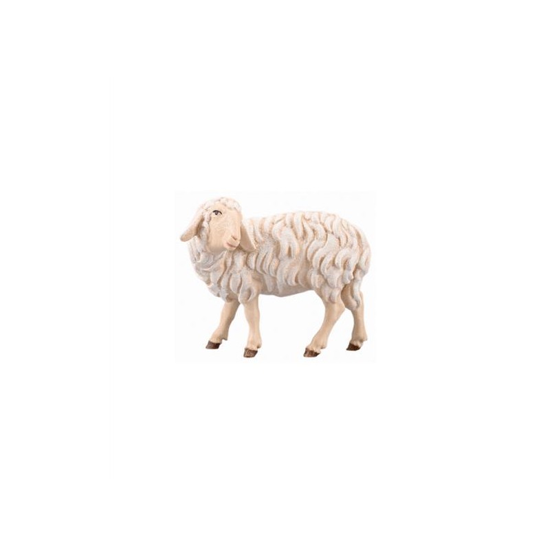 SI Schaf zurück schauend