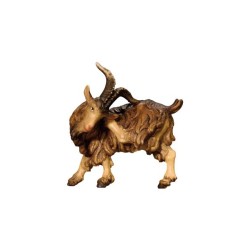 SI Caprone che si gratta