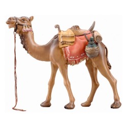 SI Camel