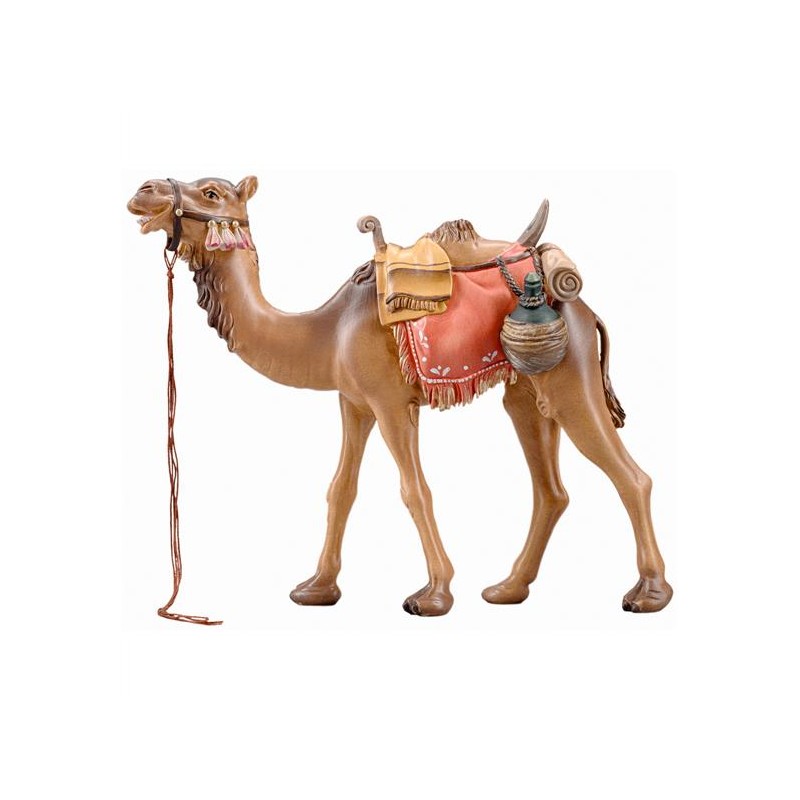 SI Camel