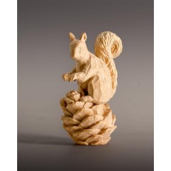 Squirrel in alpine pine wood