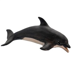 Dolphin