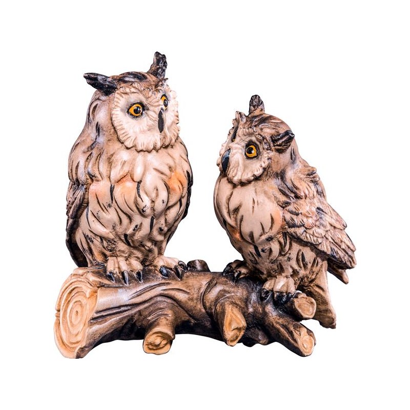 Group of owls