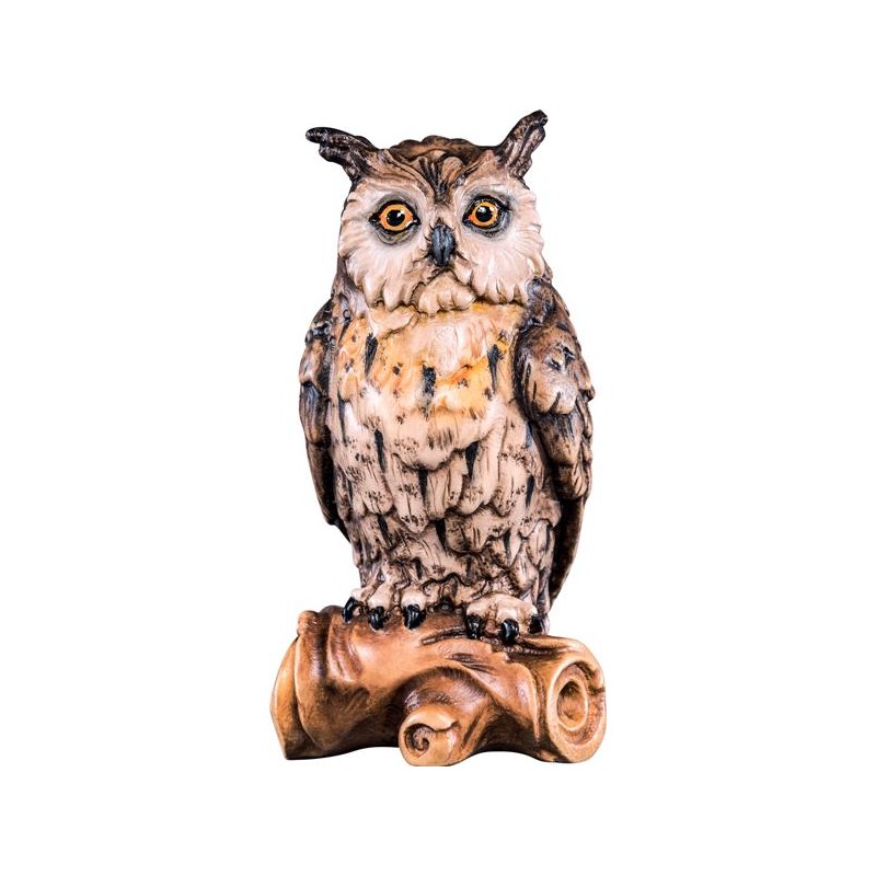 Owl on bough