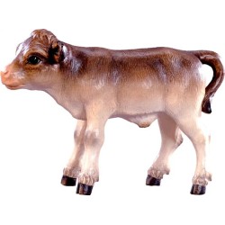 Calf