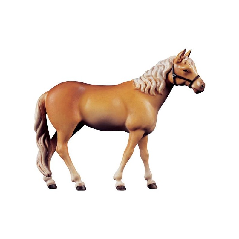 Horse Haflinger