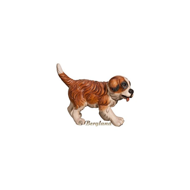 Saint Bernard puppy