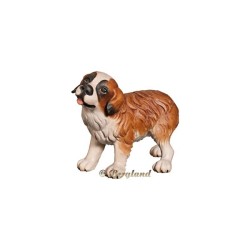 Saint Bernard puppy