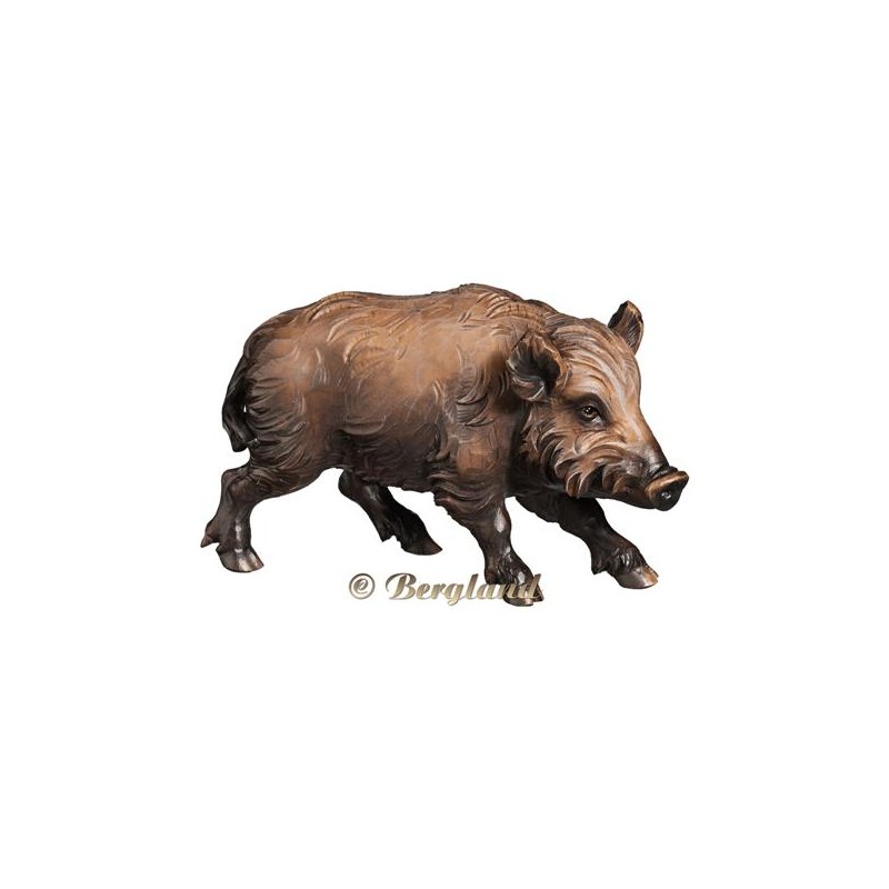 Wild boar sow