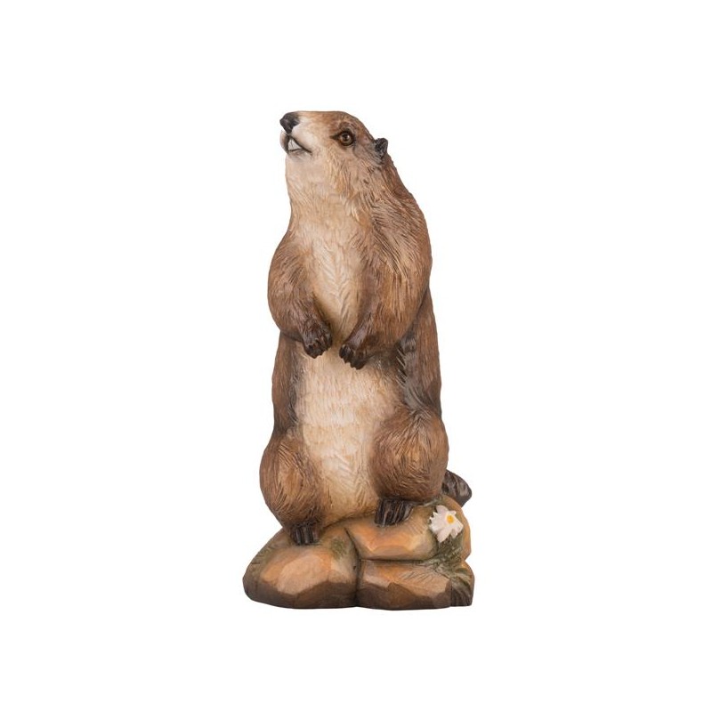 marmot