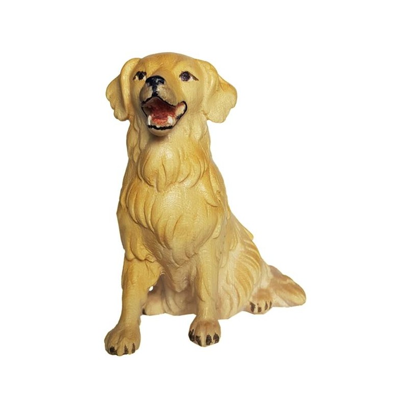 Golden Retriever sitting