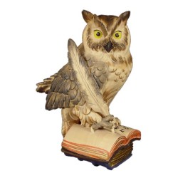Owl on book with feather