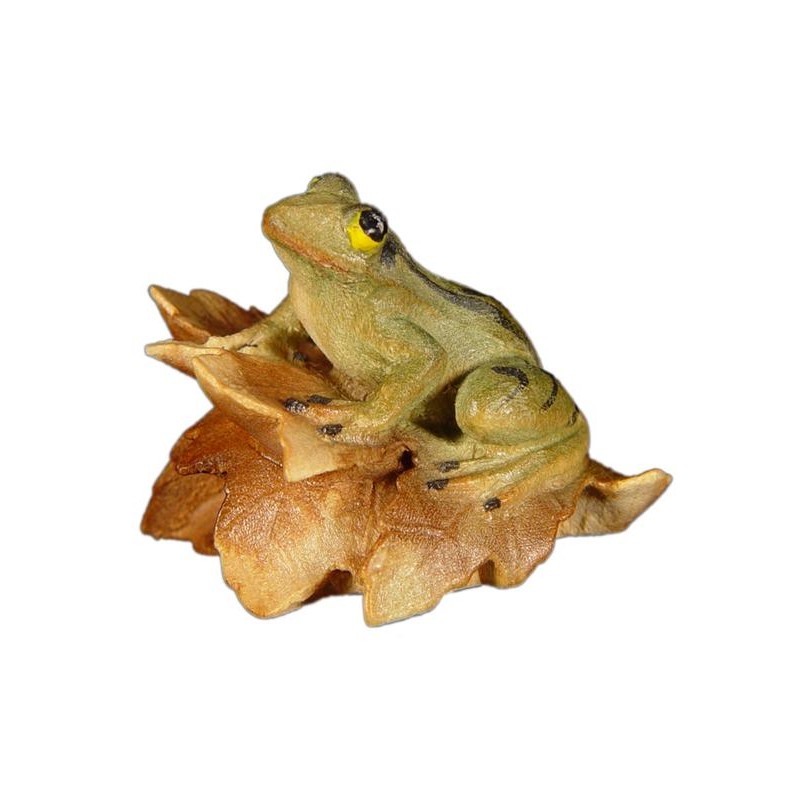 Frosch auf Blatt