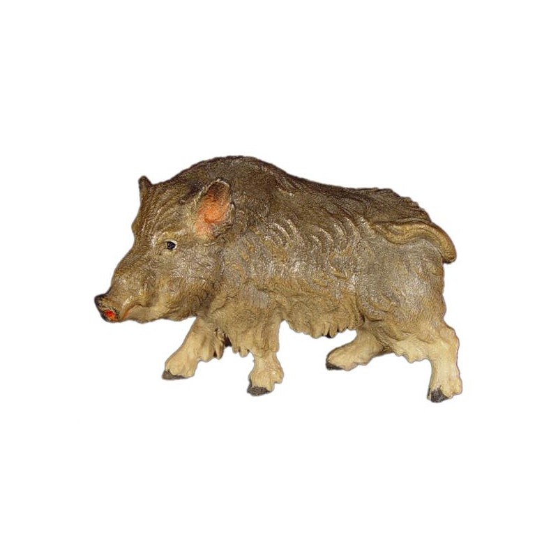 Wild boar