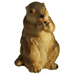 Cucciolo di marmotta in piedi