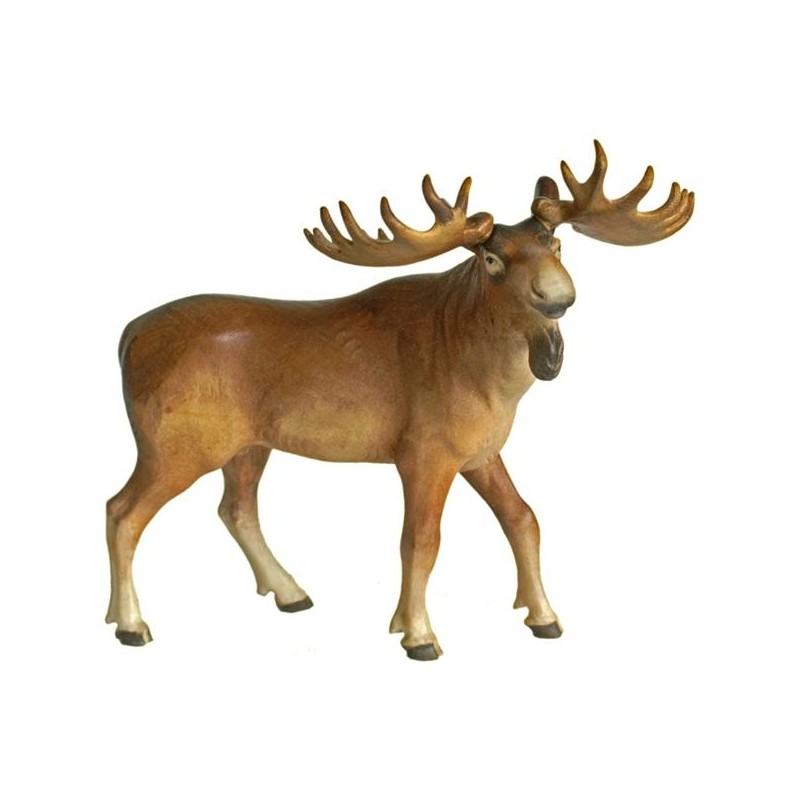 Elk