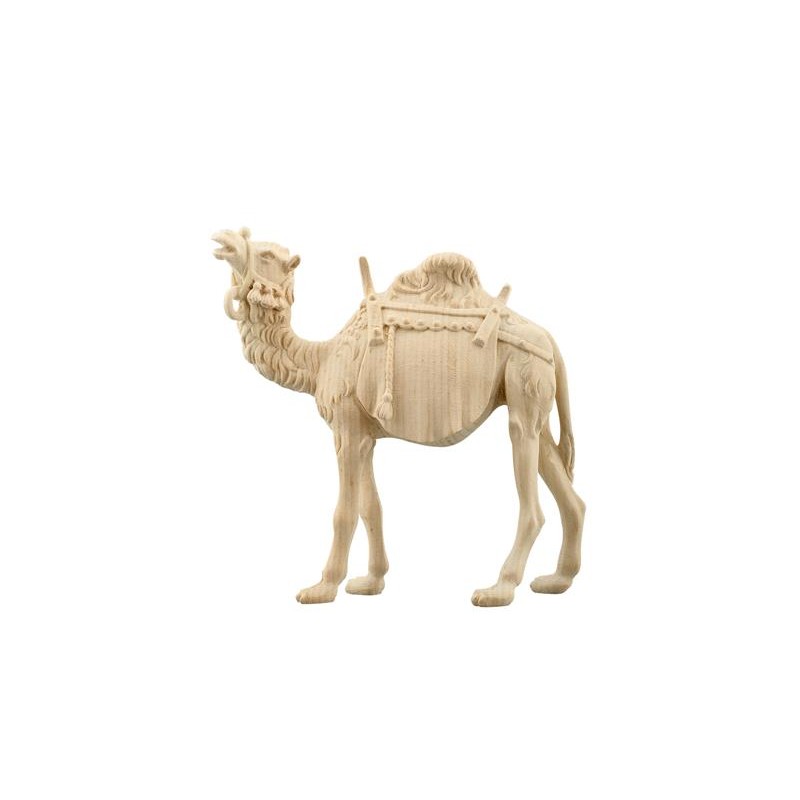 ZI Camel
