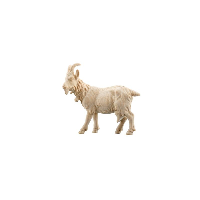 ZI Goat with bell