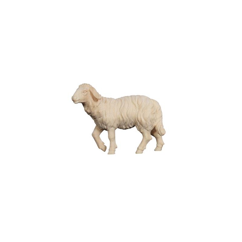ZI Sheep standing head up
