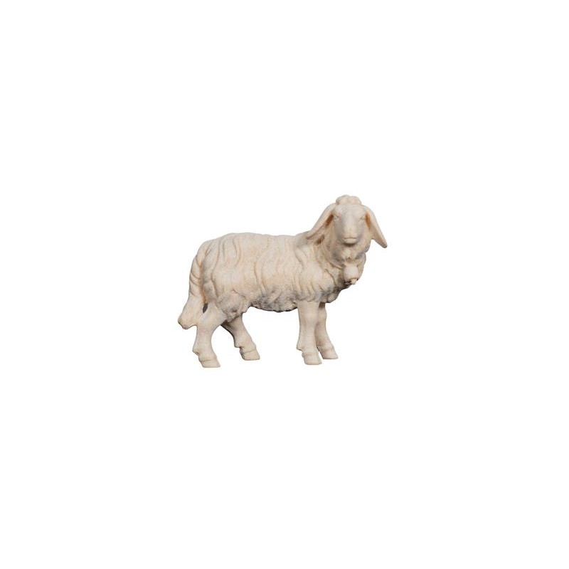 ZI Pecora con campanella